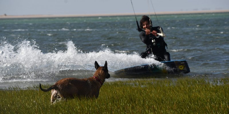 Ecole kitesurf dakhla